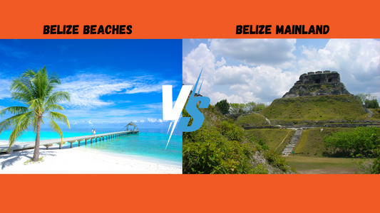 Beach vs Rainforest: Where to Visit in Belize