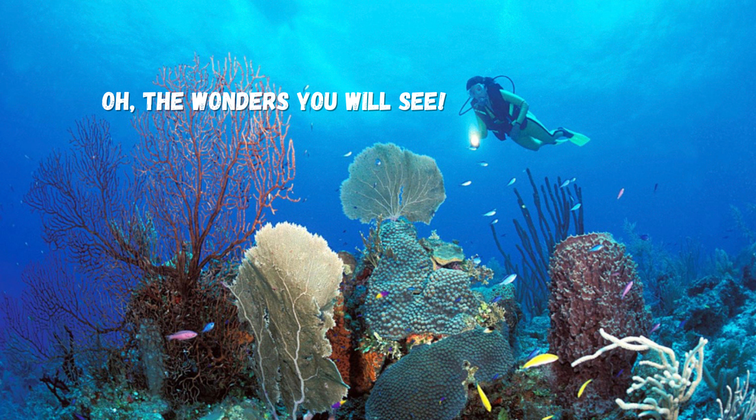 The Ultimate Guide to Scuba Diving in Belize