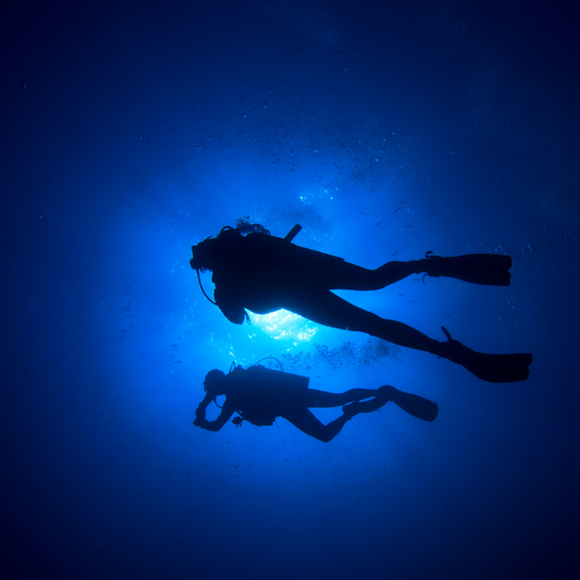 Night Diving