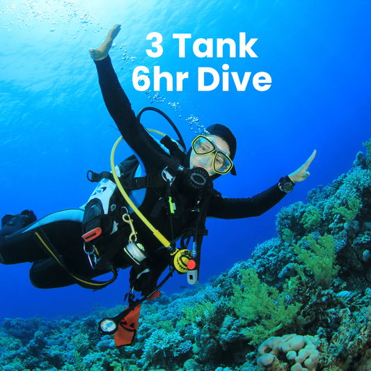 Local Scuba Diving 3 Tank Dive