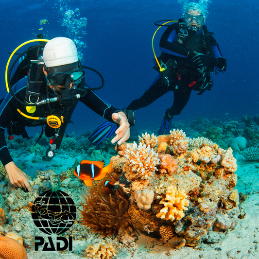 PADI Dive Master Pro Course