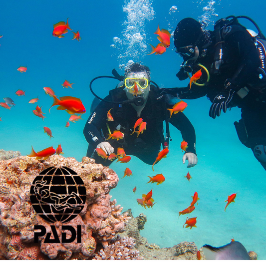 PADI Advanced Diver Course