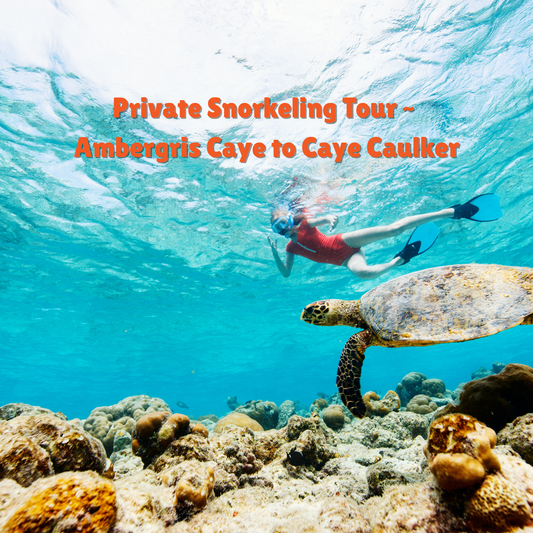 Private snorkeling tour | A fun filled day San Pedro to Caye Caulker
