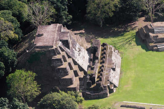 Altun Ha Tour and Baboon Sanctuary