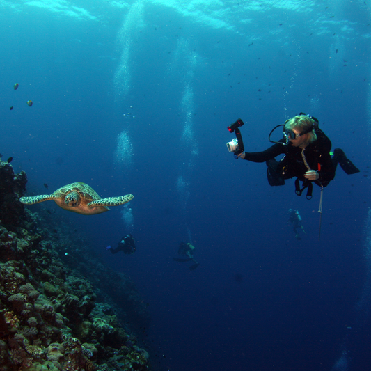 Scuba Dive at Lighthouse Reef