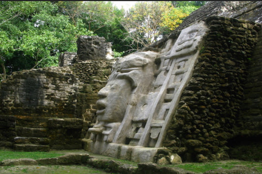 Lamanai Mayan Temple and River Tour