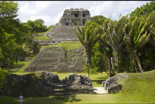 Lamanai Mayan Temple and River Tour