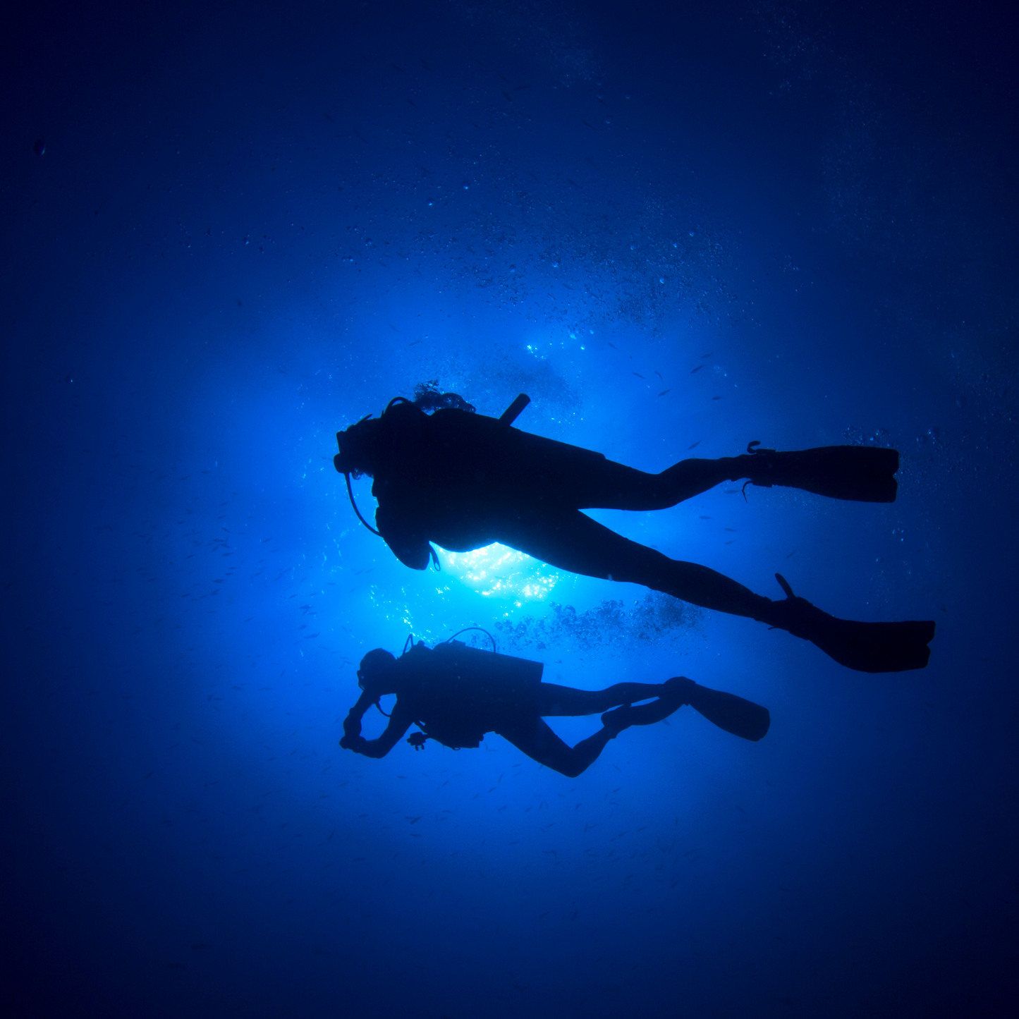 Night Diving