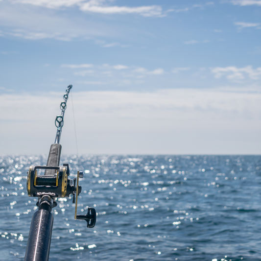 Reef Fishing ~ Full Day