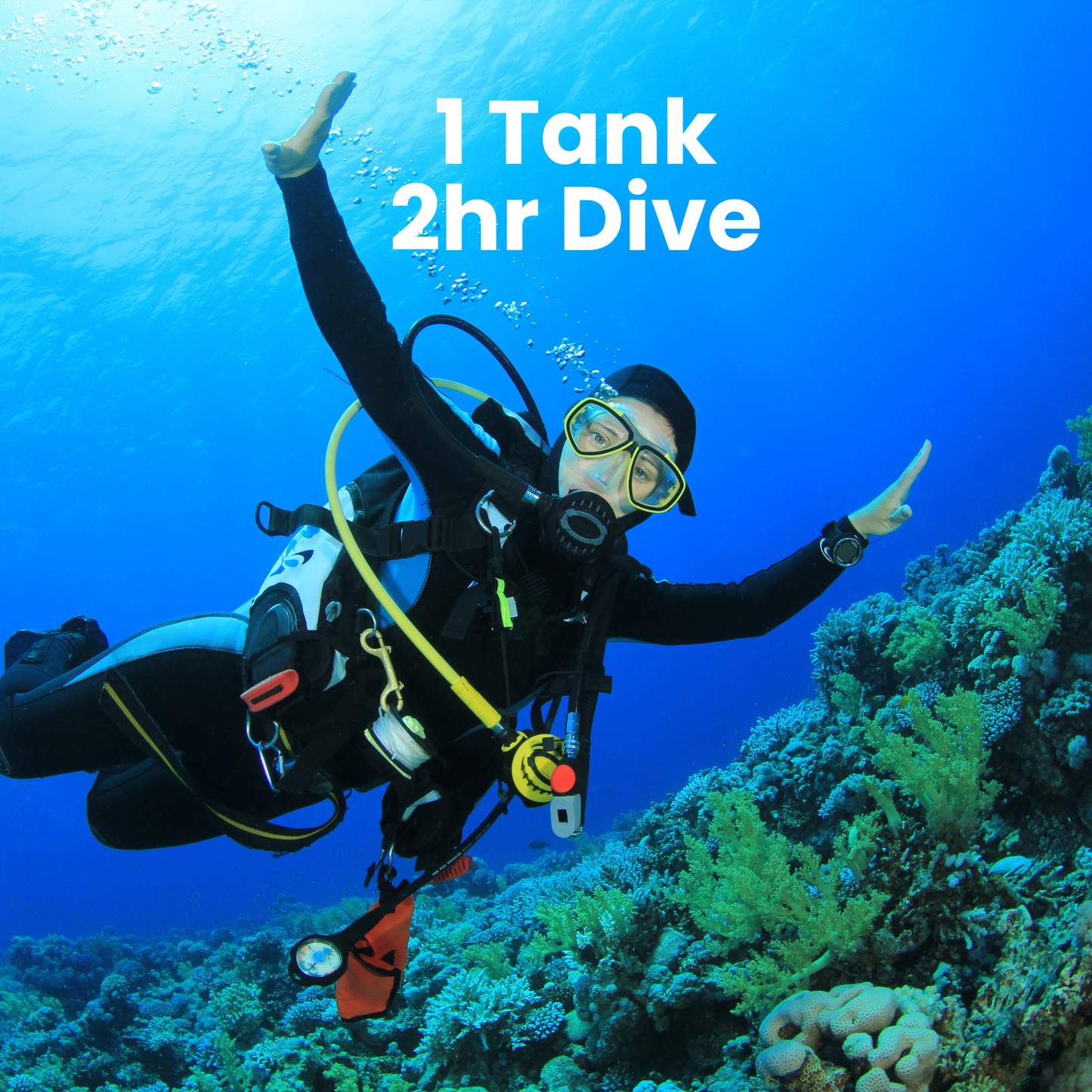 Local Scuba Diving 1 Tank Dive